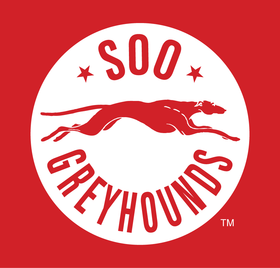 Sault Ste. Marie Greyhounds 2013-Pres Alternate Logo iron on transfers for T-shirts